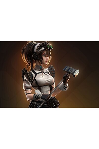 OEM Poster The Battle Maid, 61x90cm, poster634, Zumzeria ®