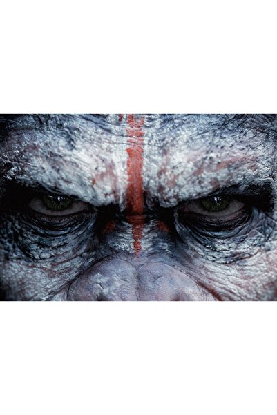 OEM Αφίσα Ο Πλανήτης των Πιθήκων, 61x90εκ., Zumzeria