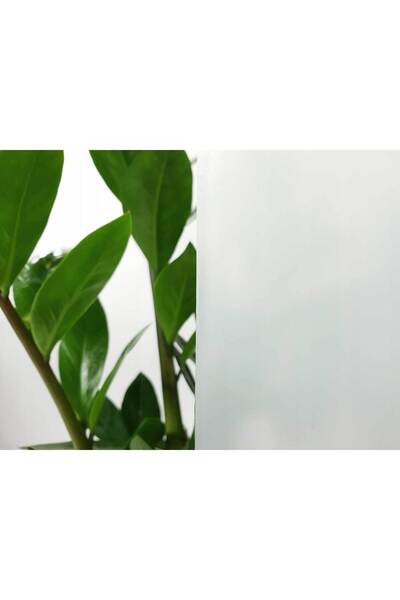 d-c-fix 176-8266 Self Adhesive Fog White Glass Foil (67 cm X 1 Mt)