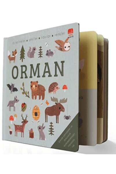 Marvel Say Find Fun Forest