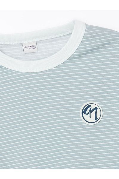 LC Waikiki Crew Neck Boy's T-Shirt