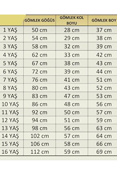 Algitsin O L A Kids shirt