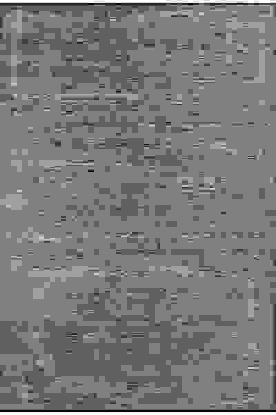 Apex Hare Premium 1331 Bej - Krem