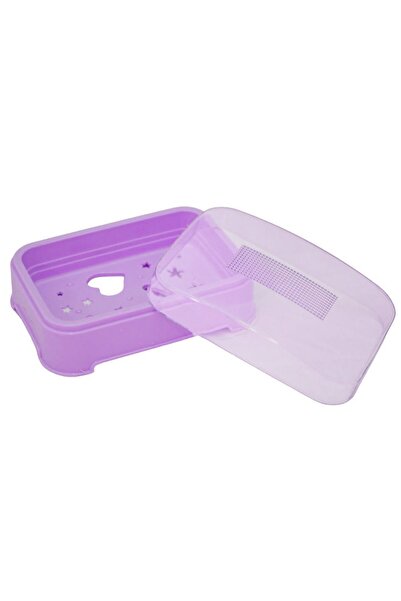 Generic plastic soap dish