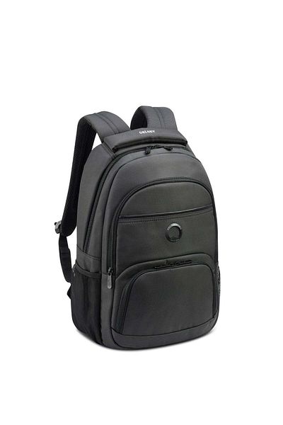 Delsey Element Aviator 2-Compartment Backpack Graphite