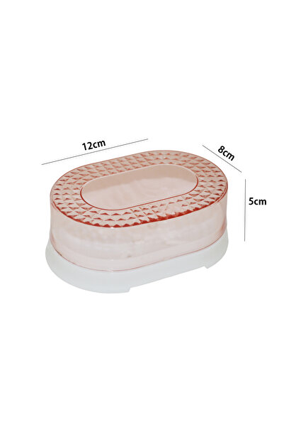 Generic plastic soap dish