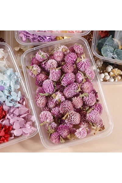 Generic Resin art dry plant flower