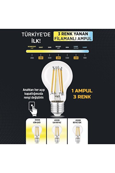 Heka 3 Renkli Led Filament Rustik Ampul 6W E27 A60 ERD-261