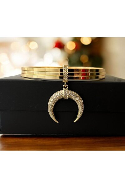 Pretty Ay Charm'lı Çelik Ajda Bilezik