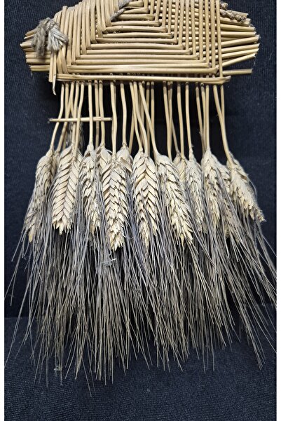 Raks Doğal Organik Buğday 60-70 Yıllık