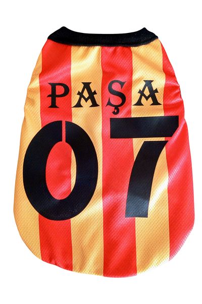 PuluPulu 🐱 🐶   Cat and Dog Fan Jersey with Name and Number