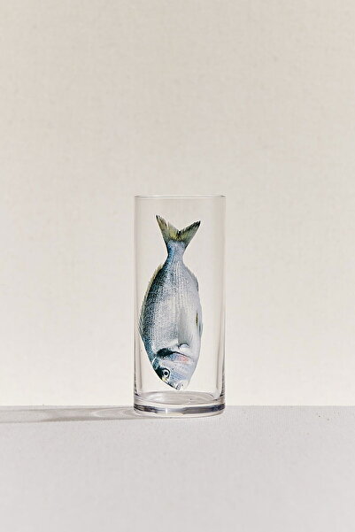 Paşabahçe Rakı Glass 205 Cc Single