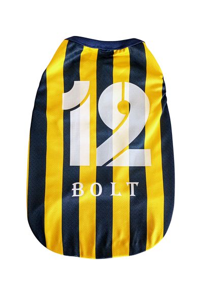 PuluPulu 🐱 🐈   Cat and Dog Fan Jersey with Name and Number Printable