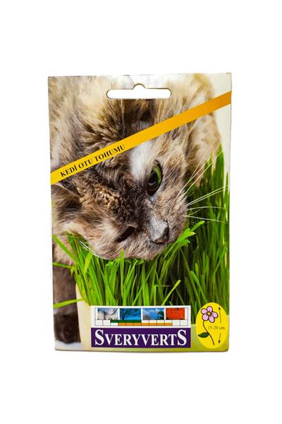 Vipfoni Kedi Otu Tohumu