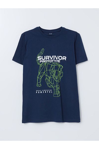 LC Waikiki Lcw Crew Neck Boy T-Shirt