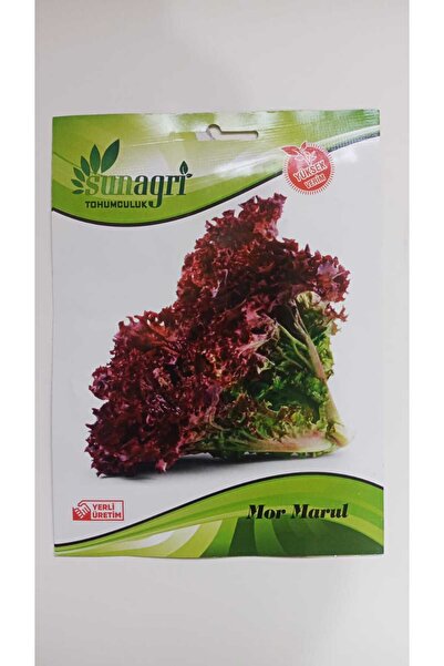 ByKurt Sunagri Mor Marul Tohumu - Serin İklimler İçin Bahçe ve Sera Yetiştiri...