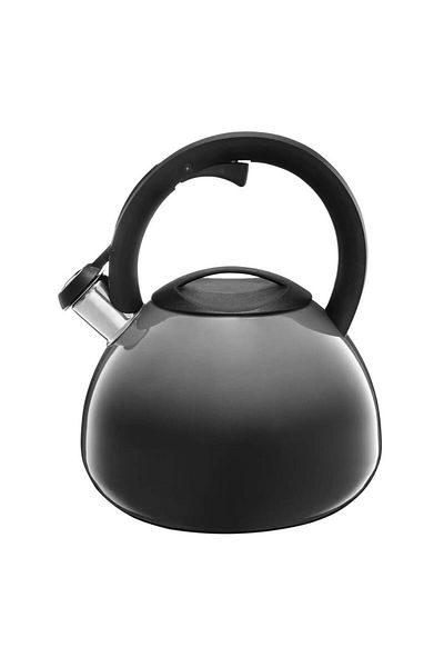Ambition Ceainic aragaz cu fluier 2.6L (3L), inductie, gri, Ombre