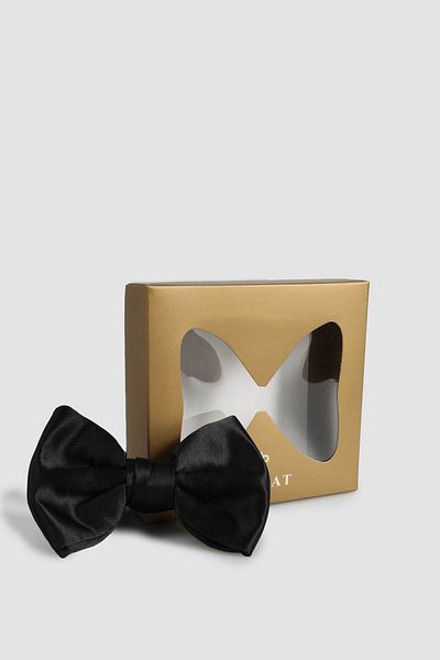 Tween Papion negru