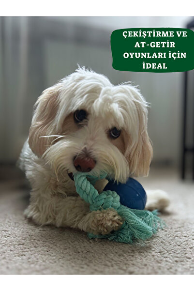 Pet And Planet Pamuk Halatlı Silikon Top Köpek Oyuncağı | Çekiştirme & At Getir Oyunu
