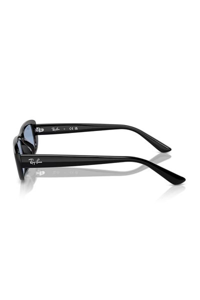 Ray-Ban Rb 4436D 6677/72 55
