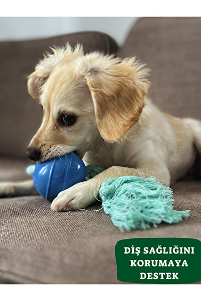 Pet And Planet Pamuk Halatlı Silikon Top Köpek Oyuncağı | Çekiştirme & At Getir Oyunu