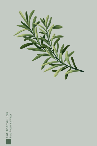 Seed Natural Herbs Pure Hair Tonic with Rosemary Water Anti-Shedding and Fast Hair Extension 100 ml