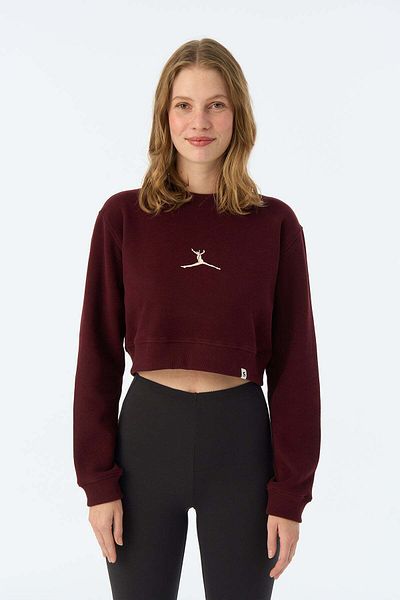 Socrates Supersoft Crop Sweatshirt - Claret Red