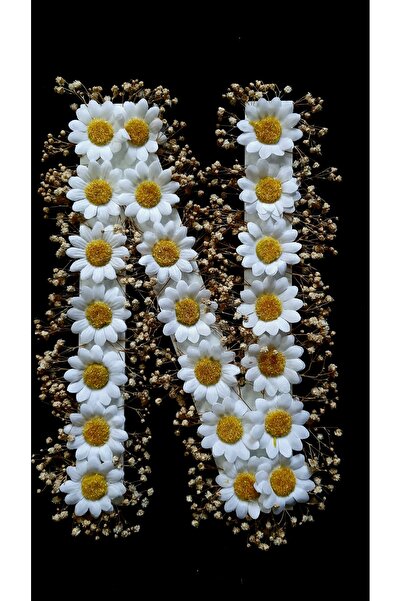 Petaliza Gelin Arabası N Harfi Papatya Ve Şoklanmış Cipso Çiçeği Ile Süslü 25cm