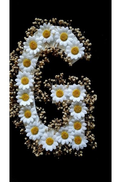 Petaliza Gelin Arabası G Harfi Papatya Ve Şoklanmış Cipso Çiçeği Ile Süslü 25cm