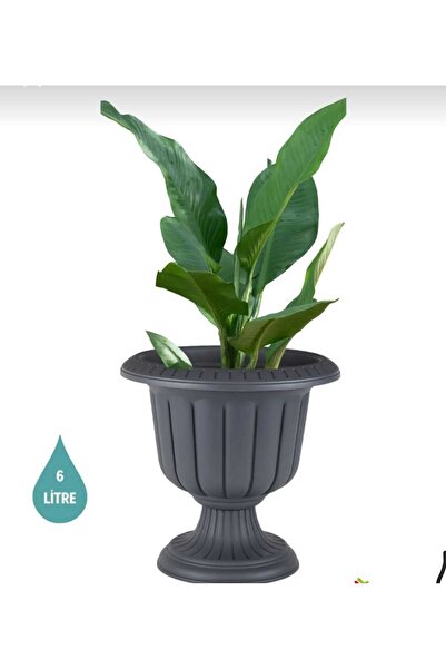 Poliva Nergiz Saksı 6 Litre Koyu Antrasit Renk Ayaklı Plastik Çiçek Saksısı M...