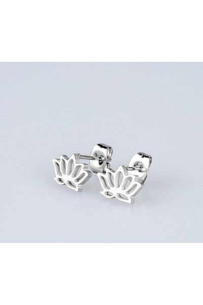 Piercing Market Steel & Silver 1 Pair of No Fade, Tarnish & Gift Earrings with Steel Studs