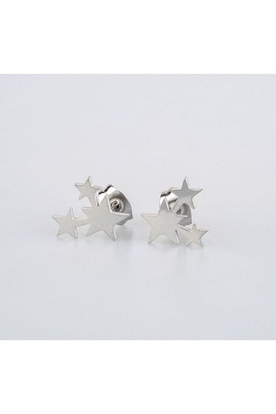 Piercing Market Steel & Silver 1 Pair of No Fade, Tarnish & Gift Earrings with Steel Studs