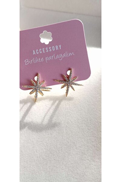 ndjewelry أقراط نجمة الشمال ذات اللون الذهبي على الوجهين