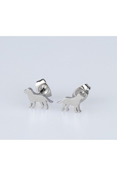 Piercing Market Steel & Silver Çelik Çivili 1 Çift Hediyelik Küpe Kararma Solmaz Yapmaz