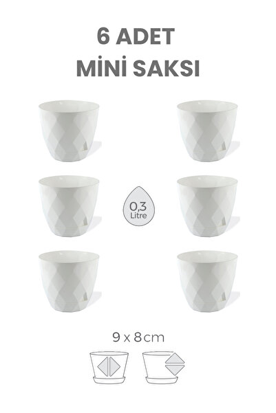 Melkan Home 6 Adet Mini Saksı, Desenli Küçük Saksı Set Parlak Saksı Yuvarlak ...