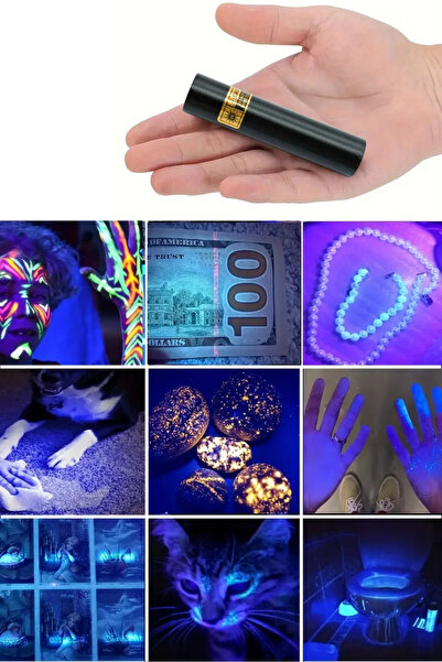 TOYFEST Mini LED UV Mor Işık El Feneri Cep Boy USB İle Şarj Olan Oje Kurutucu Para Kontol Cihazı