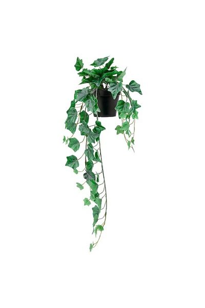 IKEA FEJKA Artificial Potted Plant – Lifelike Hanging Ivy for Indoor & Outdoor Use (12 cm)