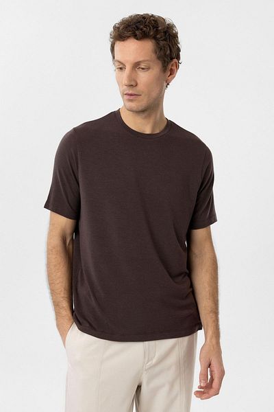 Antioch Brown Regular Fit Basic Men's T-Shirt