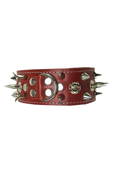 kozaklı طوق حماية للكلاب الفاخرة