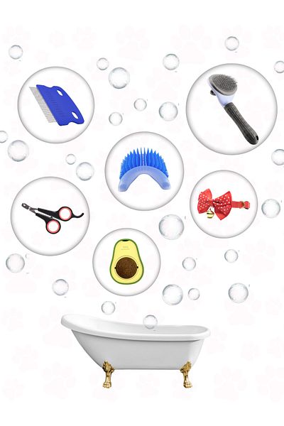 Petilux Cat Grooming Set - Automatic Comb Flea Comb, Nail Clipper, Bow Tie Avocado Itching Apparatus