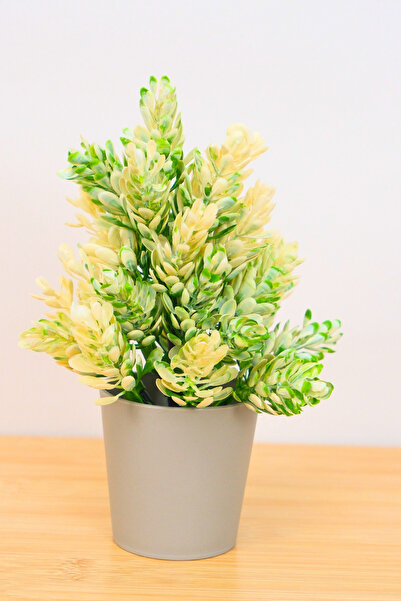 Digithome Dekoratif Küçük Saksılı Yapay Lavanta Çiçeği Beyaz 18cm EVA-5824 C1-1-423