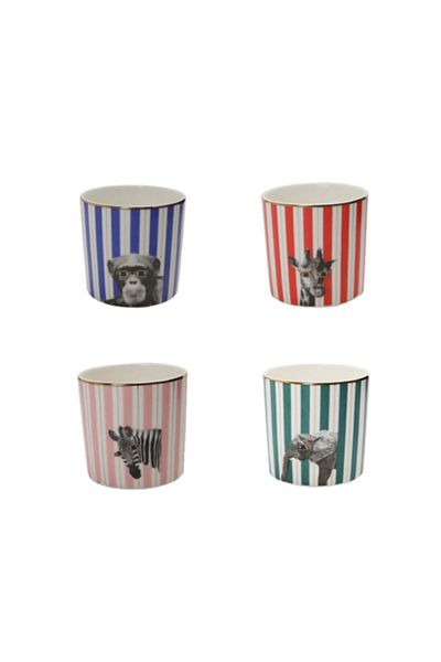 Porland Wild Life 4-Piece Glass Set - 230cc