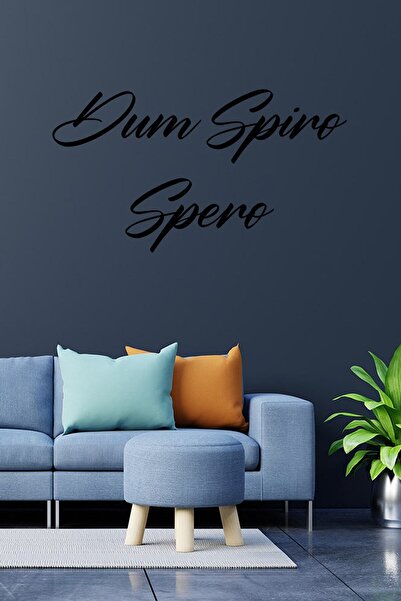 MIGNATIS Autocolant cu scriere de perete Dum Spiro Spero scrisă de mână 60x33...