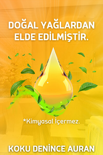 AURAN Pumpkin Çubuklu Oda Kokusu Dekor 150ml