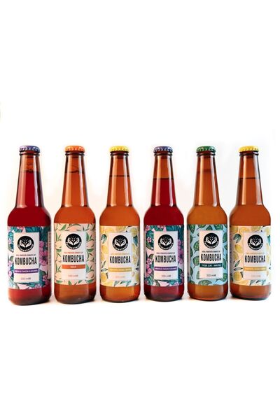 FERMENTEANA Kombucha-- 6li Paket(330ML) Karışık (2.SADE,1HTK, 2.ZNL,1.YM)