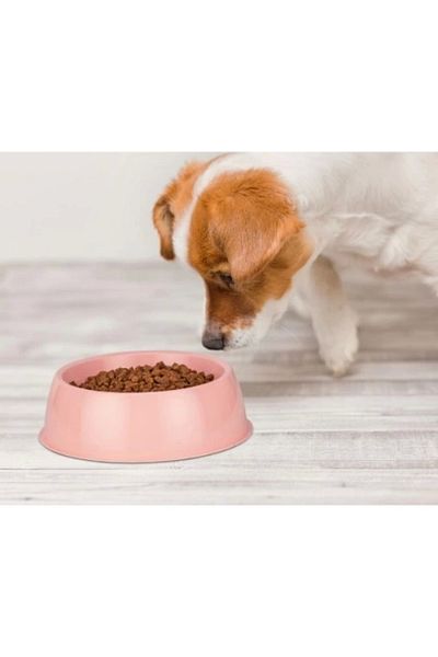 KASHİKOİ Mikopet Small Round Food Container