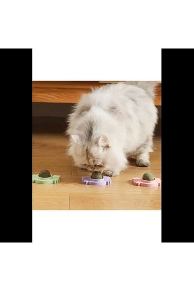 KASHİKOİ Crab Cat Herb Play Ball