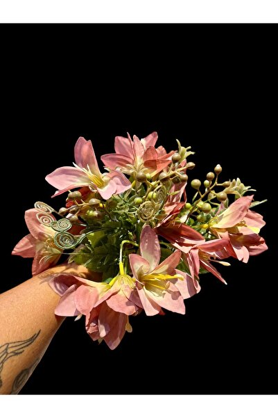 sedoshhomevision فريزيا ديمت