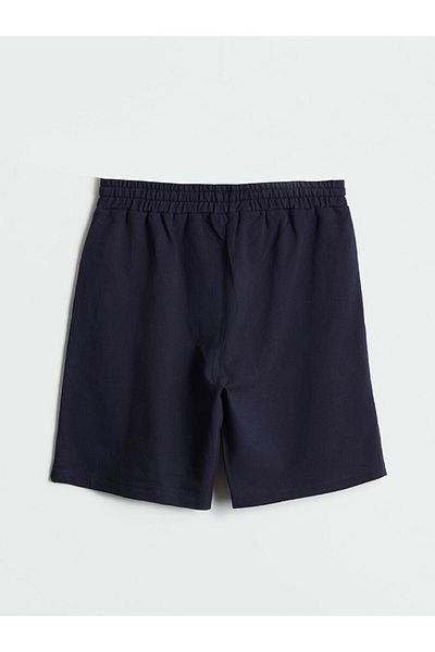 LC Waikiki Lcw Eco Navy Blue Standard Mold Men's Shorts