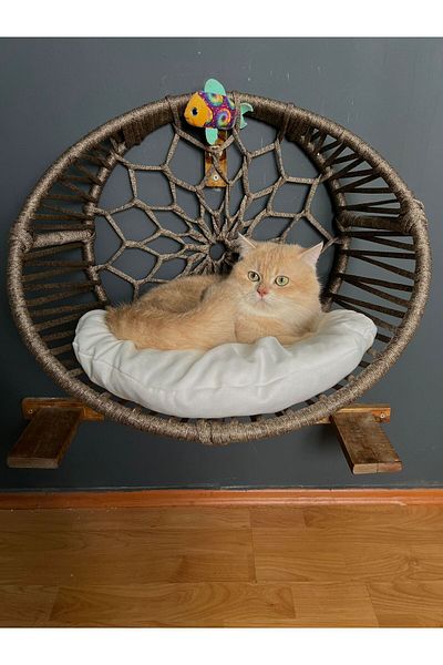 lüxperi Cat Dog Heating Hanger Bed